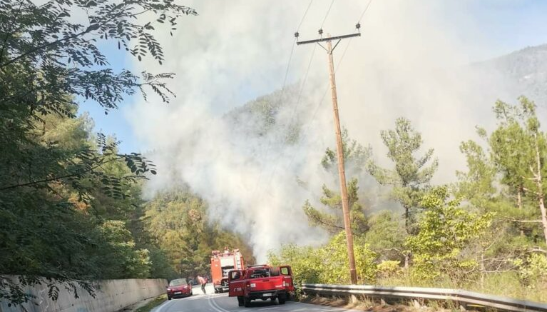 Πυρκαγιά σε δασική έκταση στην Ξάνθη